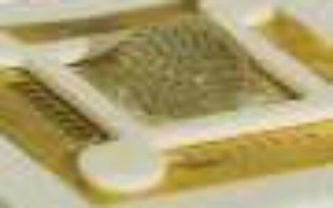 Research team designs biomimetic vision system based on praying mantis eyes