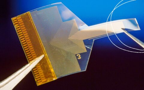 This “supermaterial” created a transparent brain implant