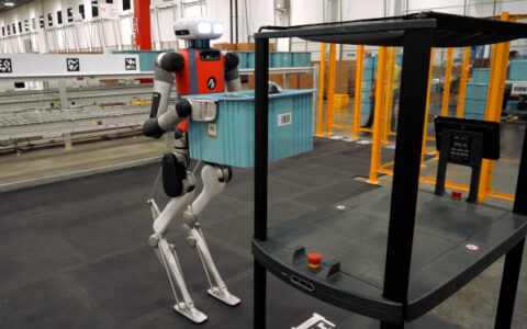 Humanoid robots’ place in an intralogistics smart robot strategy