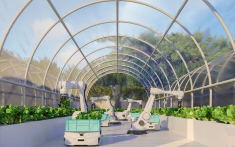 From Concept To Impact: Navigating The Climate Tech Landscape With AI And Robotics