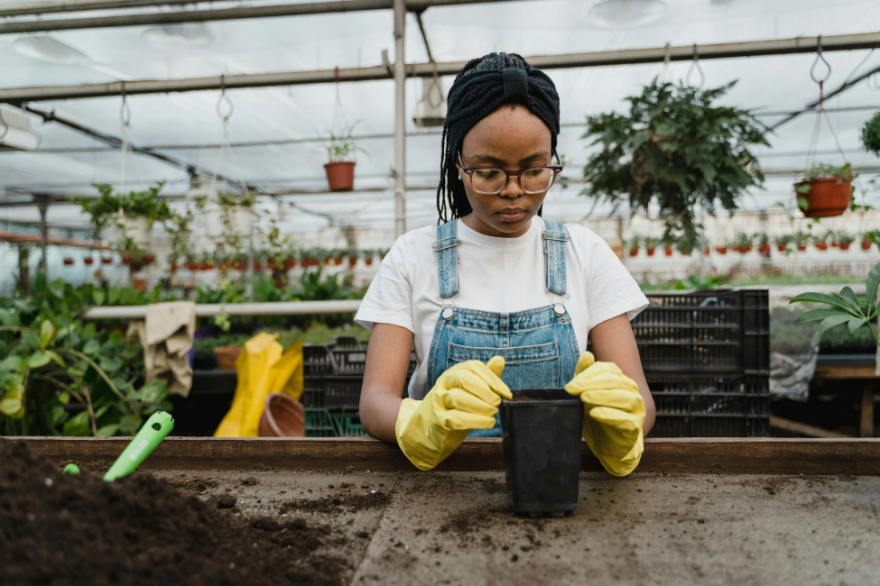 How Can We Make Urban Agriculture More Sustainable?