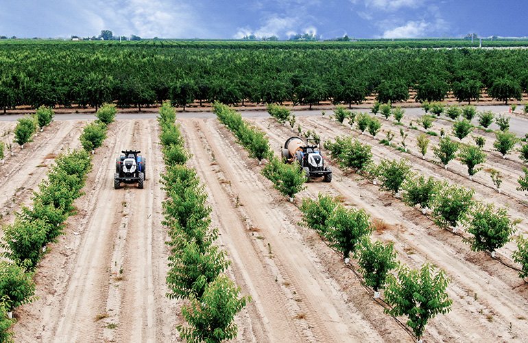 Bluewhite enabled Original Holland tractors operate in a cherry orchard.