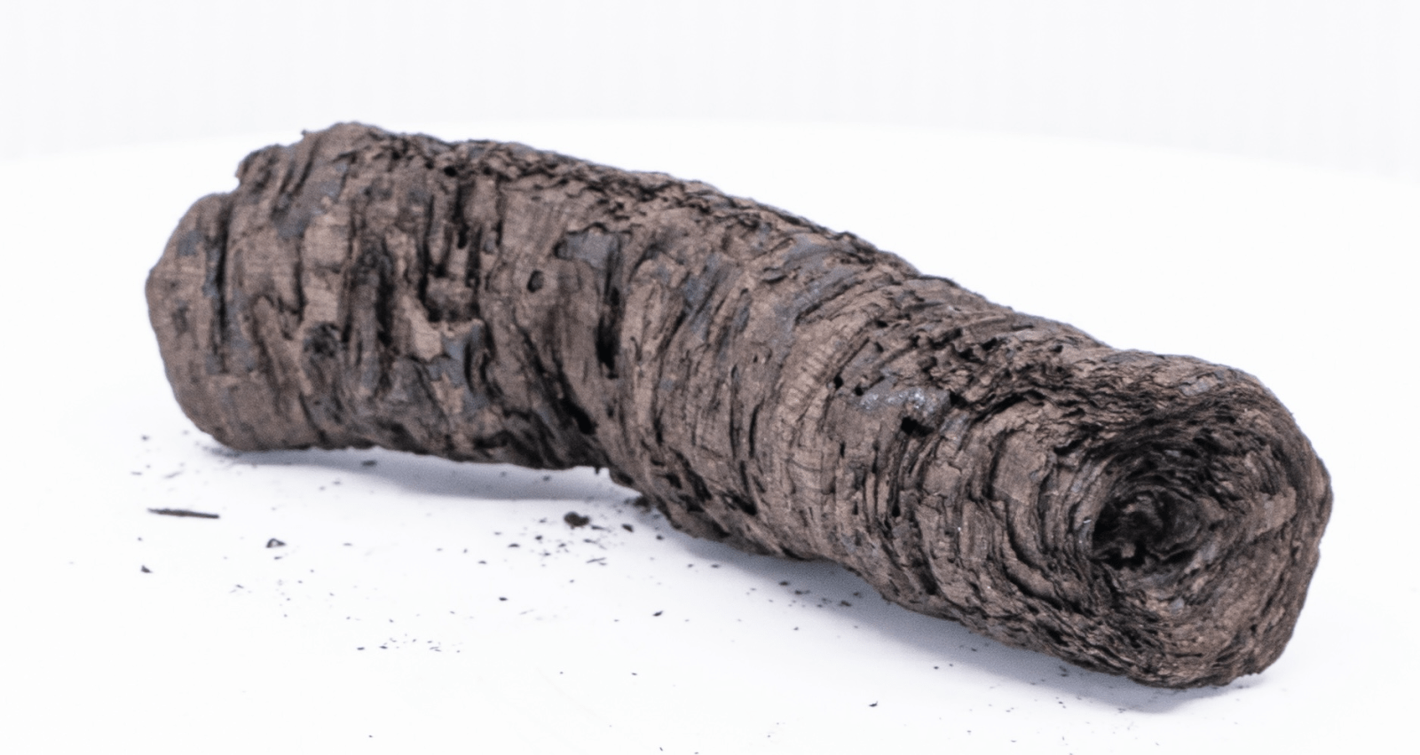 A scroll that had been almost fully burnt up