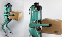 The 'Digit' robotic will seemingly be the intention forward for humanoid pizza deliveries