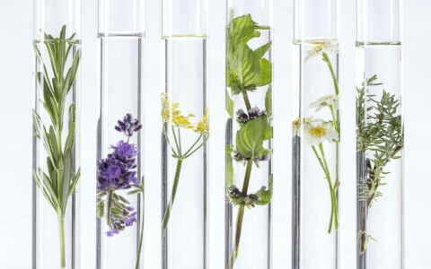 How Orius grows high-value natural ingredients