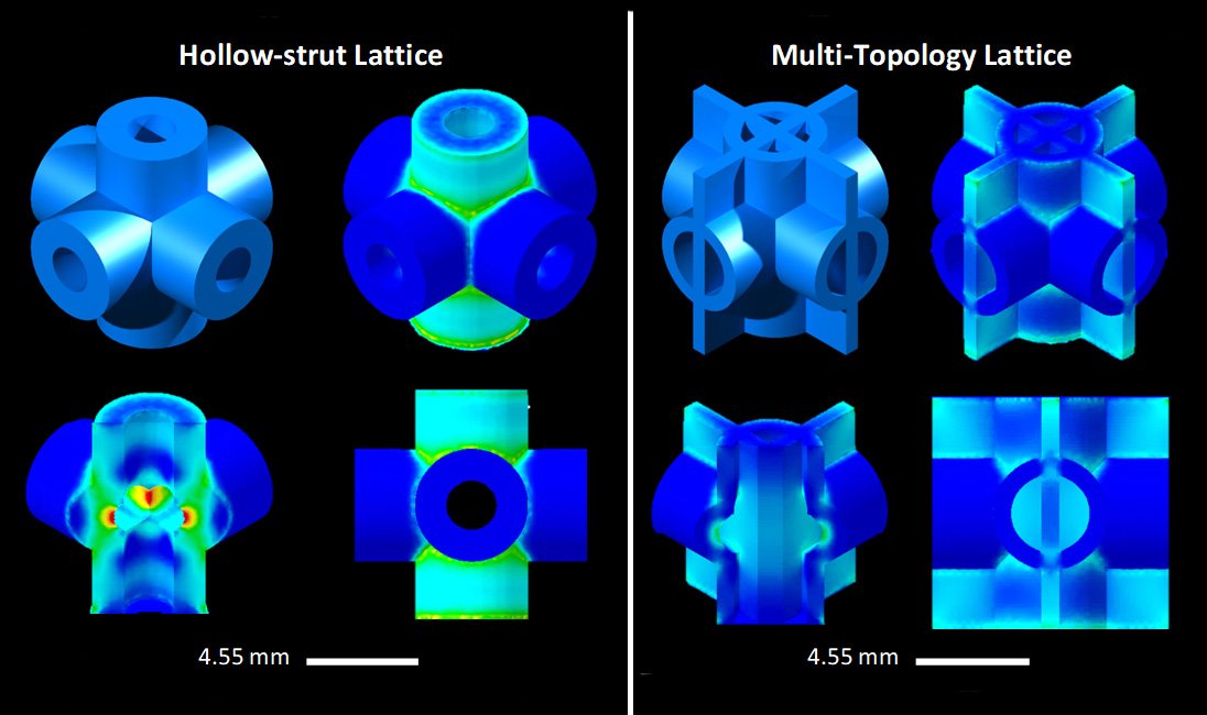 Comparison of two various lattice buildings below stress, illustrated with 3D models and nefarious-sections showing stress distribution in brilliant tones.