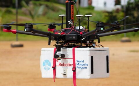 Why infected drone-dropped mosquitoes are actually a good thing