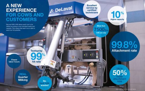 DeLaval VMS™ V300: A new experience for cows and farmers