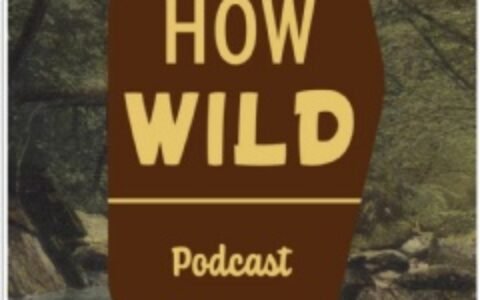 'How Wild' podcast explores America's most protected lands and what 'wilderness' really means