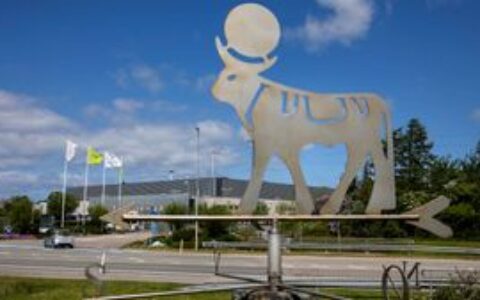 Novo Nordisk expected to upgrade guidance after double-digit growth in the first half