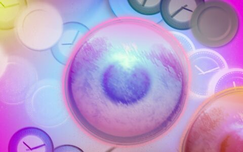 El ayuno intermitente podría aumentar el riesgo de cáncer, sugiere estudio en ratones