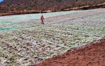 Brazilian Nickel's heap leaching progress