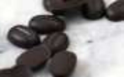 Chocolate's future could hinge on success of growing cocoa not just in the tropics, but in the lab