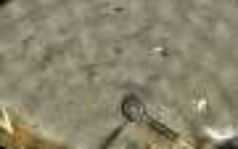 Tiny glass beads suggest the moon had active volcanoes when dinosaurs roamed Earth