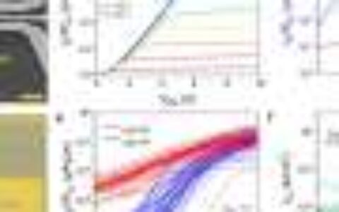 Researchers develop approach to fabricate highly performing transistors based on 2D semiconductors