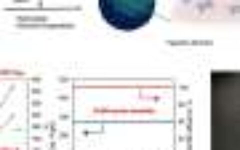 Achieving a supercapacitor through the 'molecular coating' approach