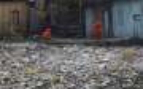 The world is pumping out 57 million tons of plastic pollution a year