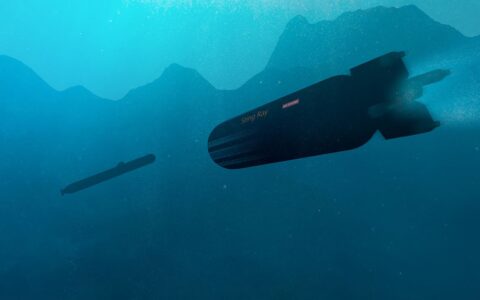 BAE Systems secures contract to upgrade Sting Ray torpedoes for Royal Navy