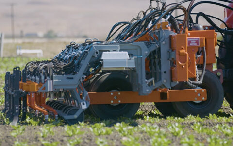 FarmWise and RDO Equipment partner to automate weeding for specialty crops - The Robot Report