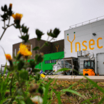 Insect farmer Ÿnsect in ‘advanced discussions’ with investors after filing safeguard plan with French court