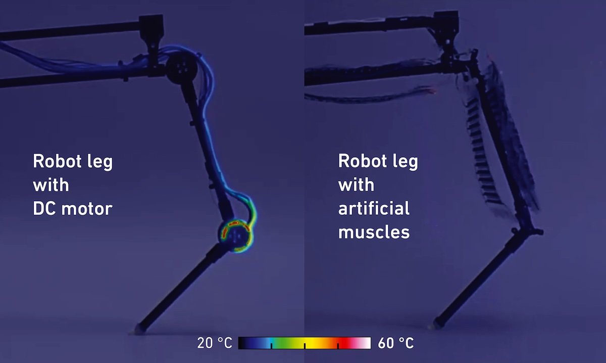 side by side comparison of the amount of heat generated by a robot leg using artificial muscles vs electric actuation.