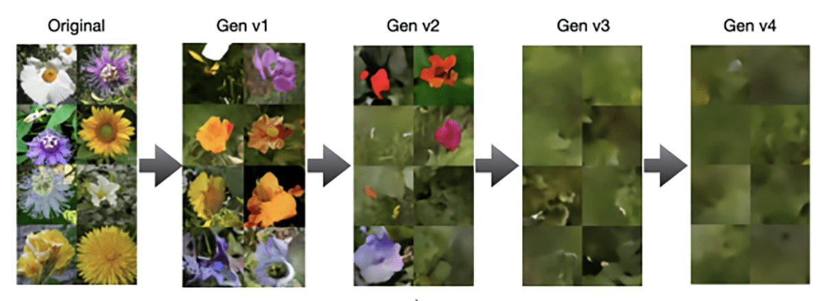 A sequence of photos showcasing the authentic characterize of flowers on the left, adopted by step by step blurrier and much less detailed variations labeled Gen v1, Gen v2, Gen v3, and Gen v4, illustrating mannequin give contrivance in generative AIs.