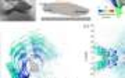 Study uncovers how silkworm moth's odor detection may improve robotics