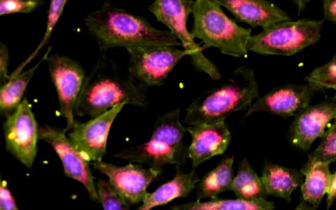 A new framework to efficiently screen drugs