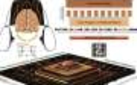 AI mimics neocortex computations with 'winner-take-all' approach