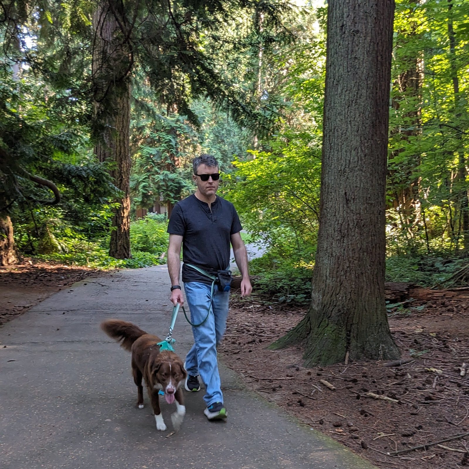 A individual sporting sunglasses walks a canines on a leash along a forested course.