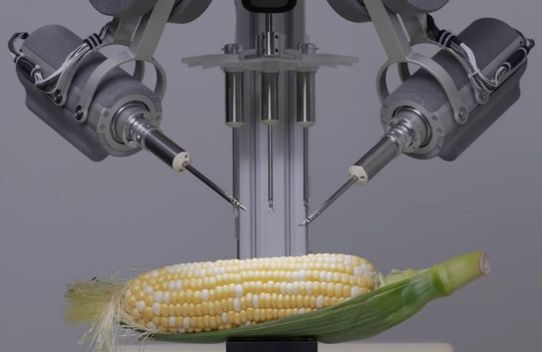 A surgical robot with two arms approaching a piece of corn. 