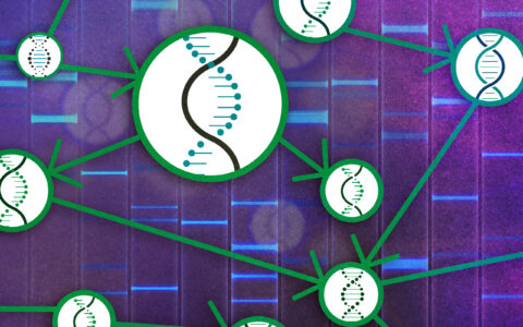 A causal theory for studying the cause-and-effect relationships of genes