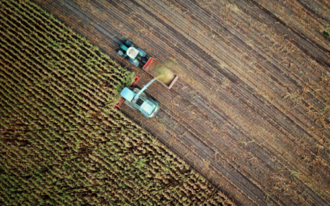 Financing AI Innovation in Agriculture