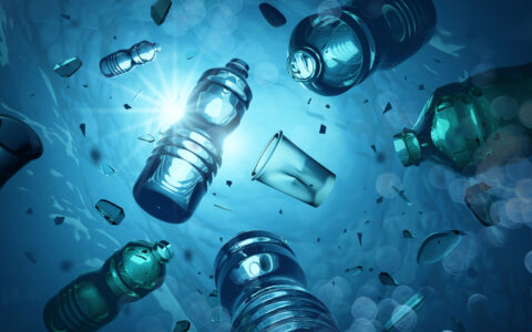 Nations Gather for Final Talks on Deal to Curb Plastic Pollution