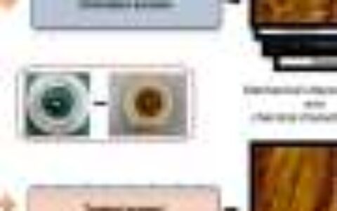 Nanoscale analysis uncovers method to prevent dental erosion from carbonated drinks