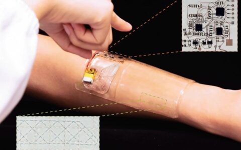 Fish-Inspired Sensor "Touches" Using Electric Fields