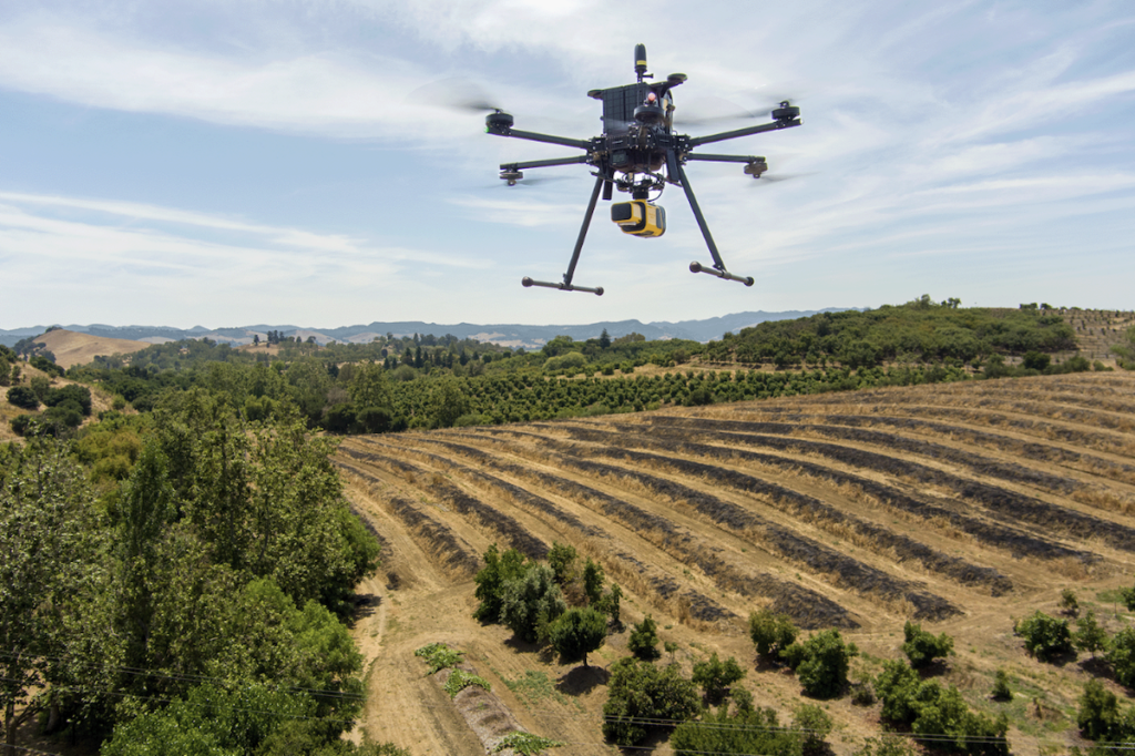 Precision Shrub Counting with Drone LiDAR Imaging