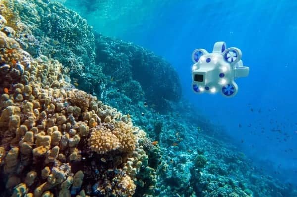 Whitepaper Exploring Shipwrecks with Autonomous Underwater Drones