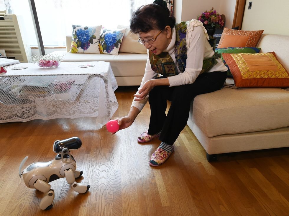 An older Japanese woman sits in her living room and smiles while holding a pink ball in front of a robot dog.