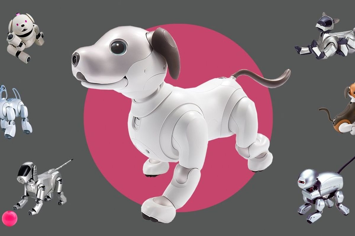 Zen and the Art of Aibo Engineering