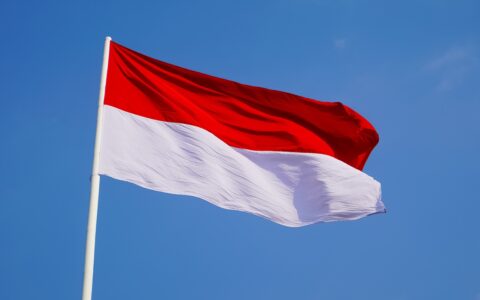Indonesia nickel output cuts may impact global supply by 35% warns Macquarie