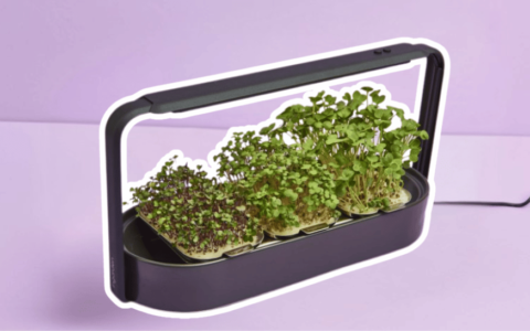 Real seeds, real funding: ingarden secures €1.2 million to grow nutrient-rich greens
