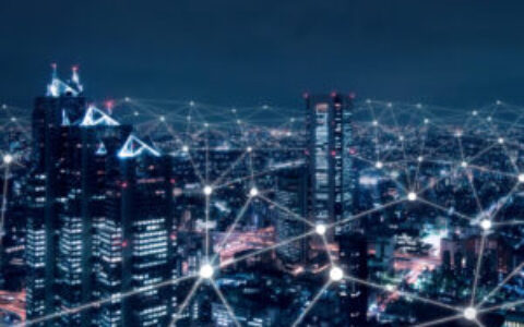 Public Networks and Operators January 2025