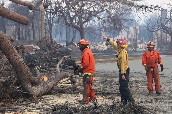 How ALAN Is Helping With Los Angeles Wildfires – and How You Can Help Too