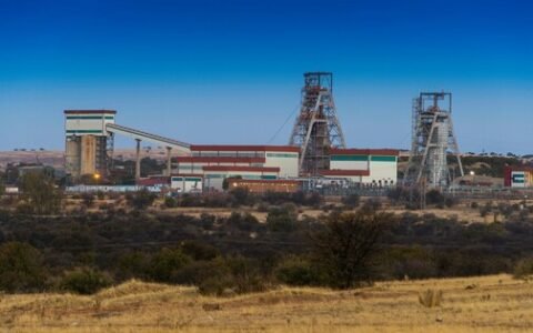 Five workers killed at Harmony's Doornkop and Joel mines