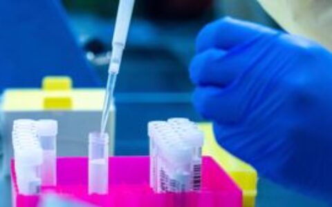 Former Novo Nordisk partner sold for USD 29m