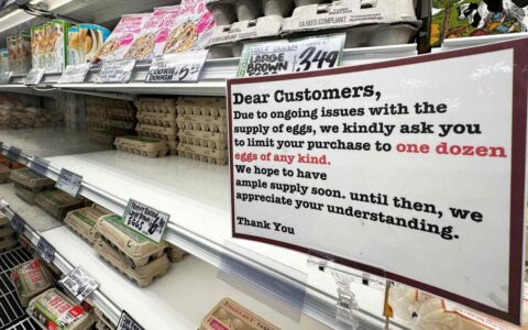 Bird flu ravaged this farmer’s chickens. Here’s his plan to lower egg prices.