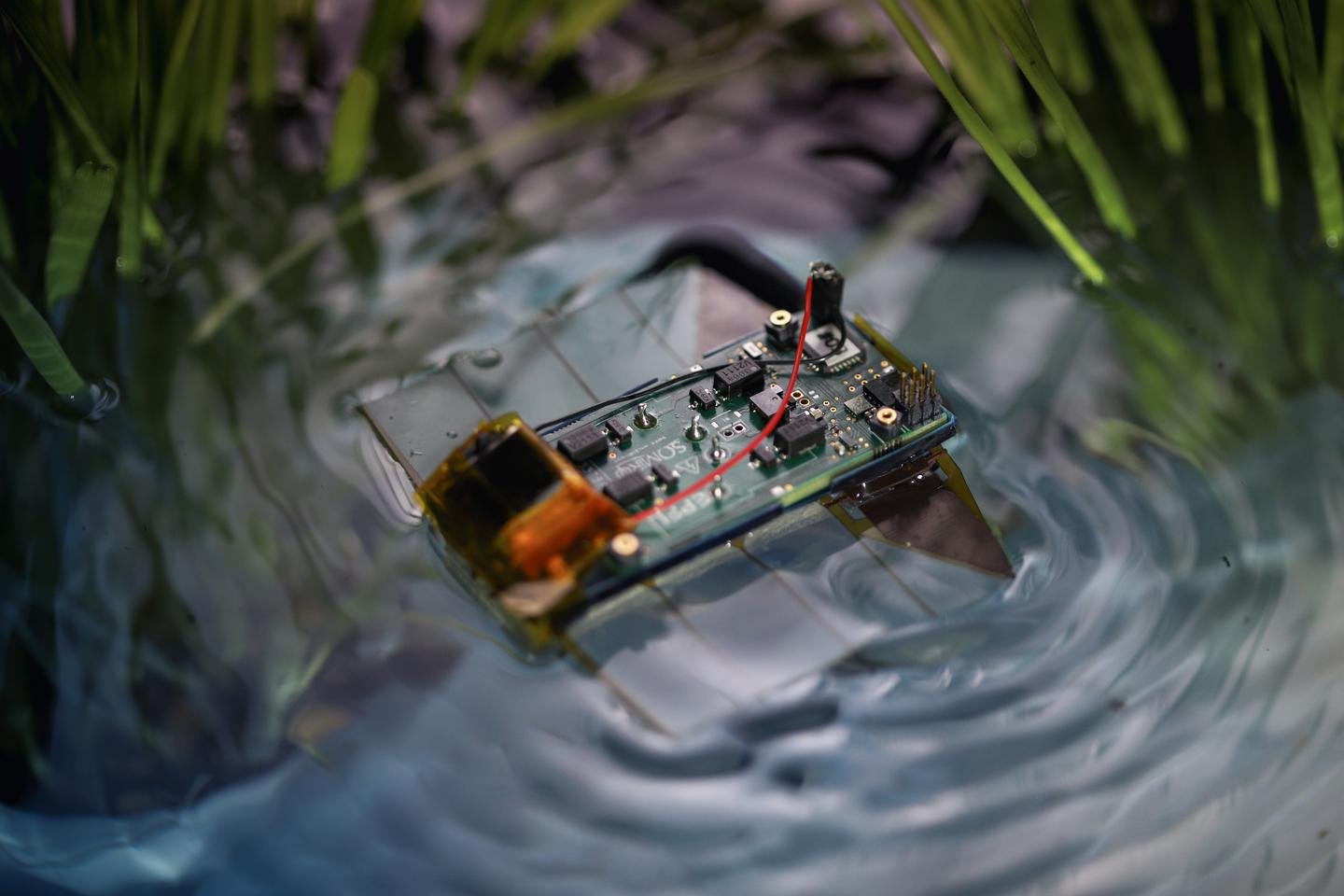 The robot is ideal for use in environments such as ponds, where it won't hurt animals or get tangled in debris