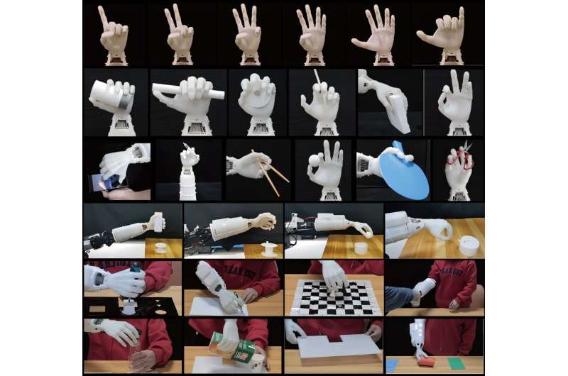 USTC efficiently develops 19-DOF biomimetic dexterous prosthetic hand