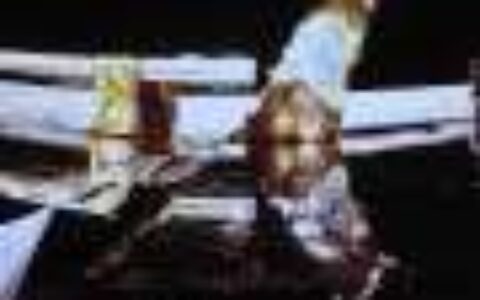 Private lunar lander Blue Ghost aces moon touchdown with a special delivery for NASA